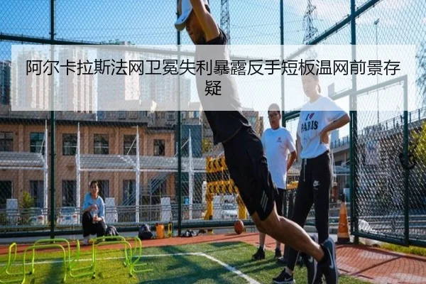 a-er-ka-la-si-fa-wang-wei-mian-shi-li-bao-lu-fan-shou-duan-ban-wen-wang-qian-jing-cun-yi-2-876.jpg